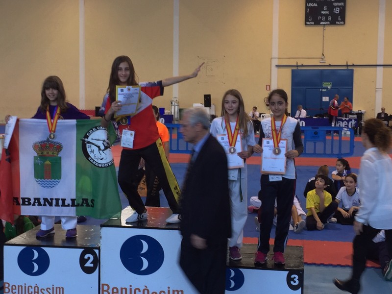 CLUBES NAVARROS EN EL CAMPEONATO DE ESPAÑA 2015